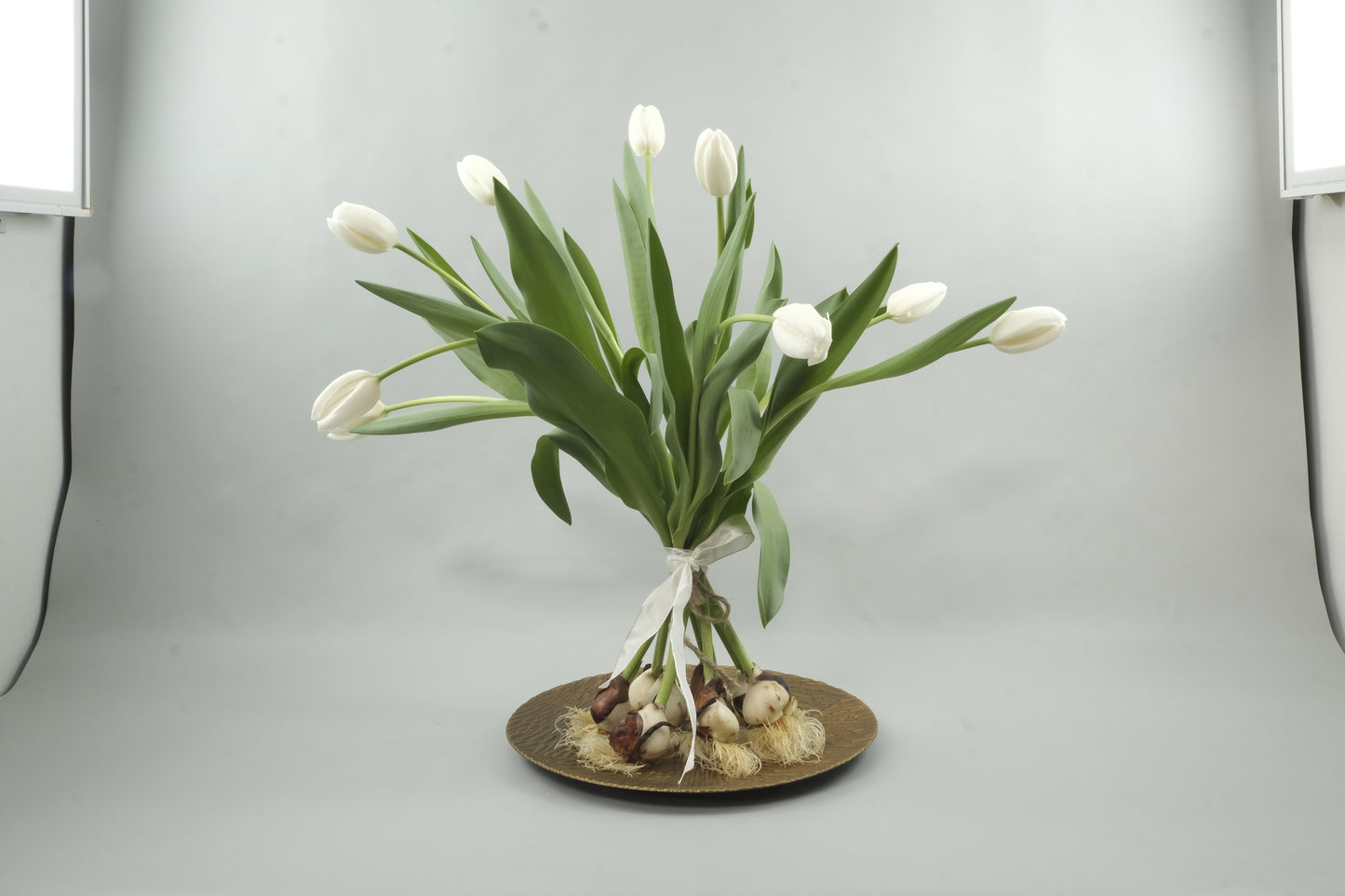 White tulips - 9 stems