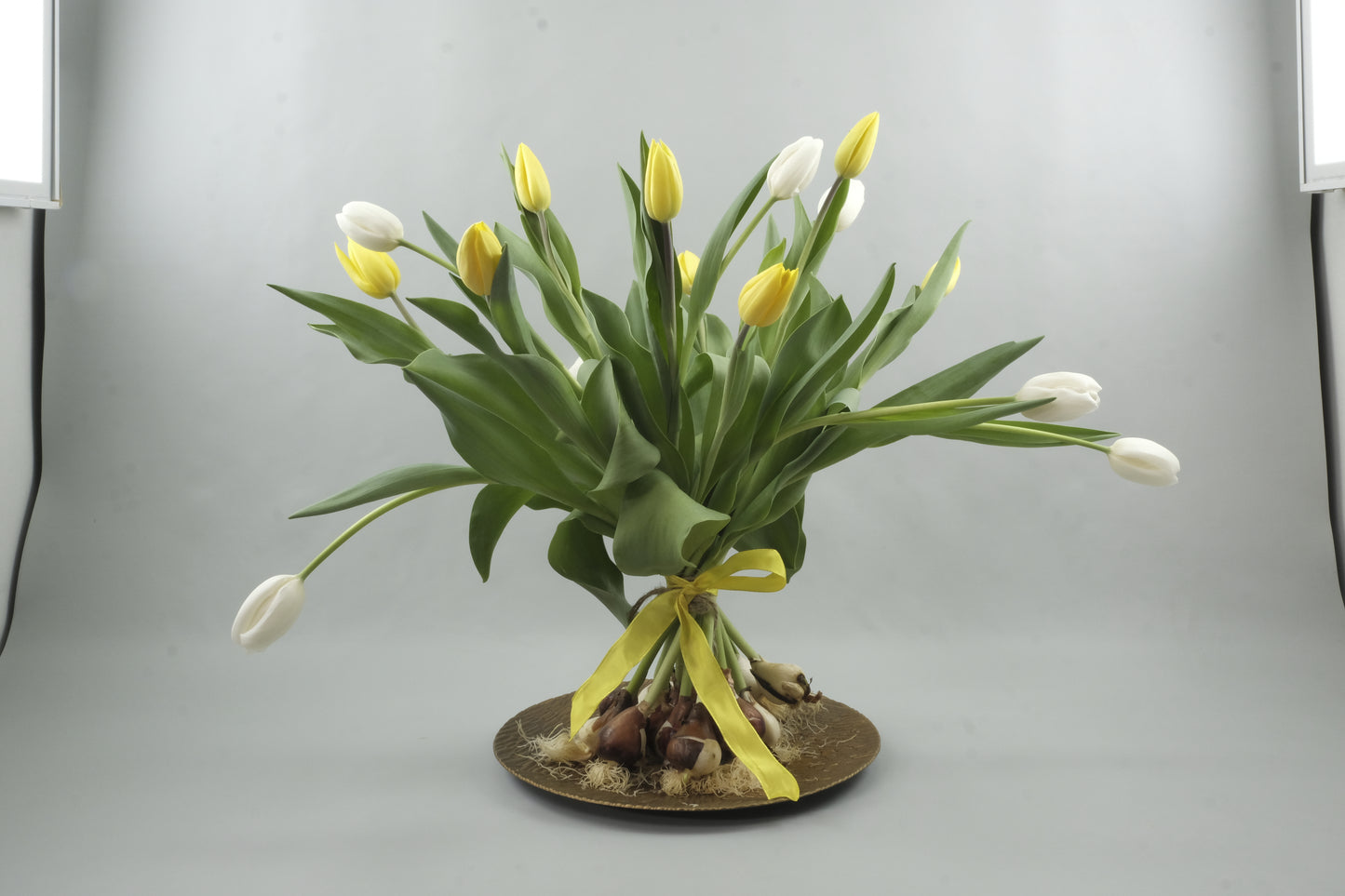 Mix yellow and white tulips - 15 stems