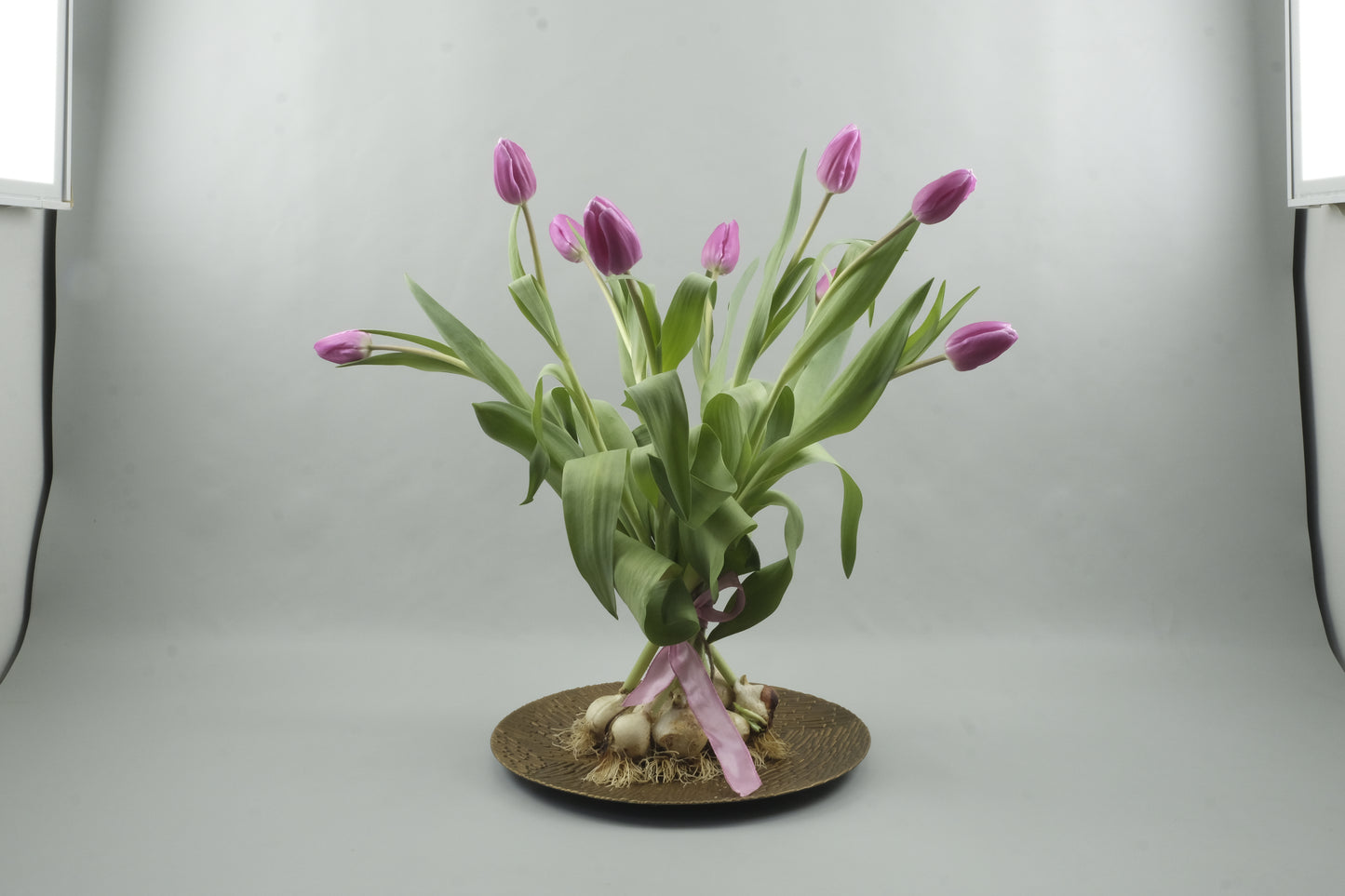 Pink tulips - 9 stems