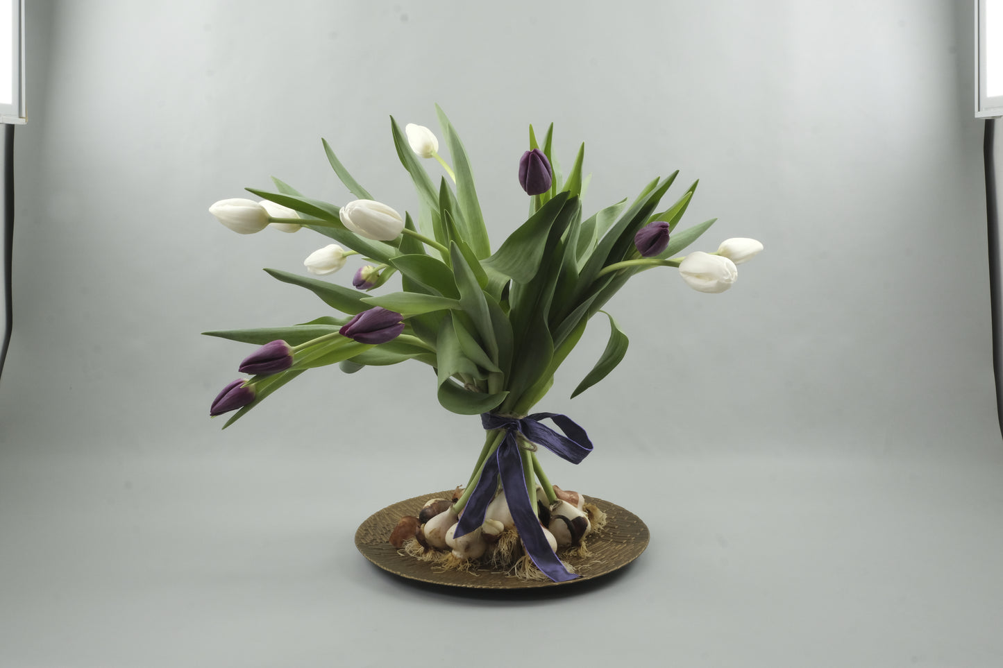 Mix purple and white tulips - 15 stems