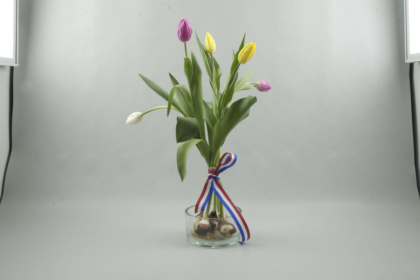 Mix yellow, white and pink tulips - 5 stems