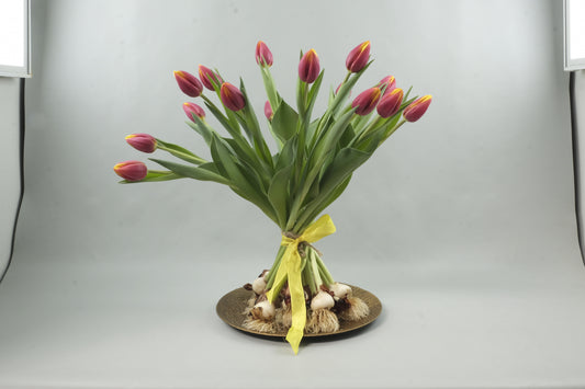 Red/yellow tulips - 15 stems