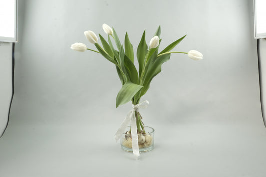 White tulips - 5 stems