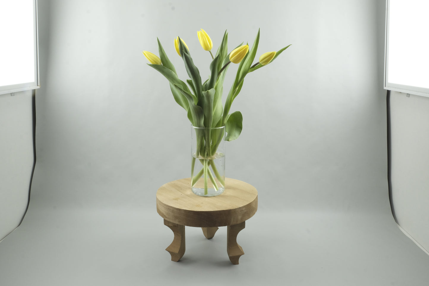 Yellow tulips - 5 stems