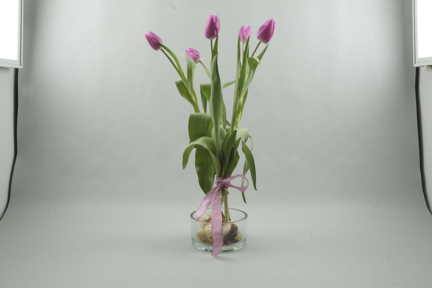 Pink tulips - 5 stems