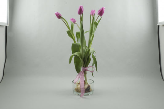 Pink tulips - 5 stems