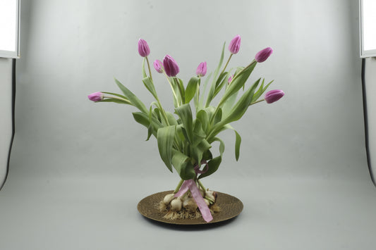 Pink tulips - 9 stems