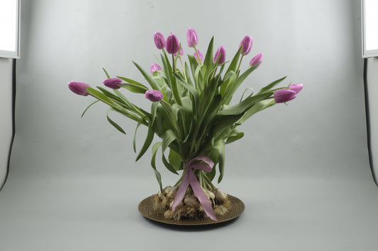 Pink tulips - 15 stems