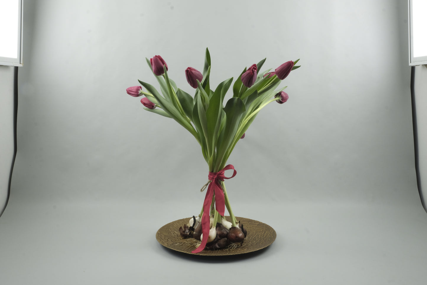 Red tulips - 9 stems