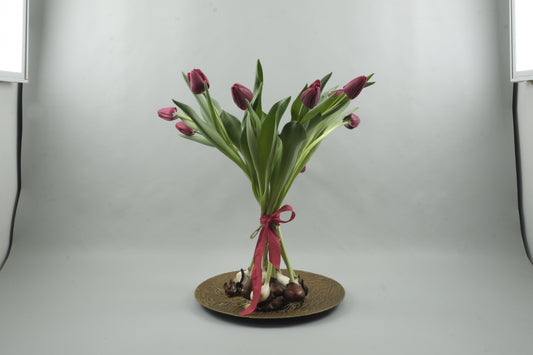 Red tulips - 9 stems