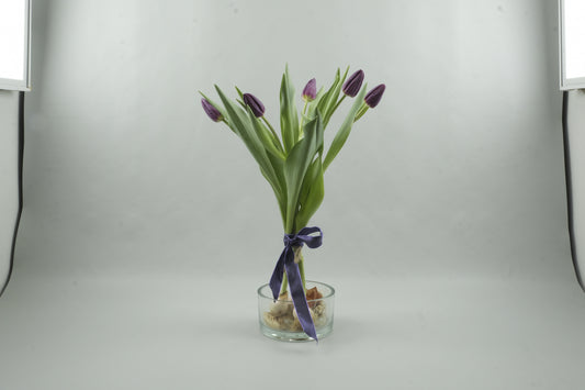 Purple tulips - 5 stems