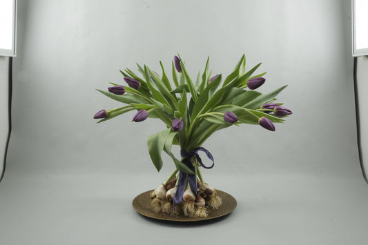 Purple tulips - 15 stems