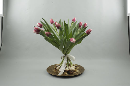 Pink/white tulips - 15 stems