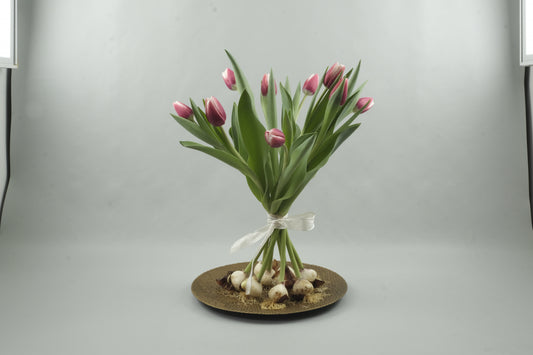 Pink/white tulips - 9 stems
