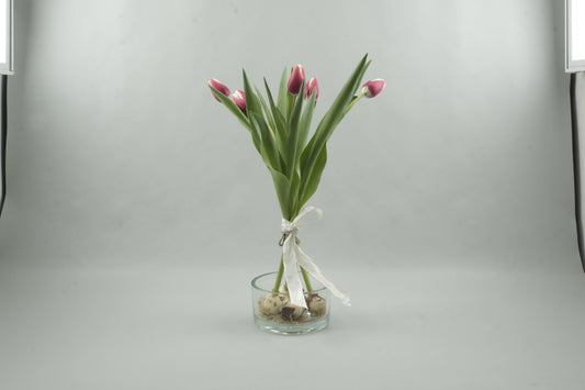 Pink/white tulips - 5 stems