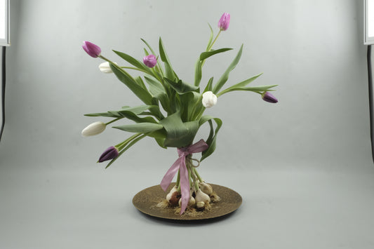 Mix purple and white tulips - 9 stems