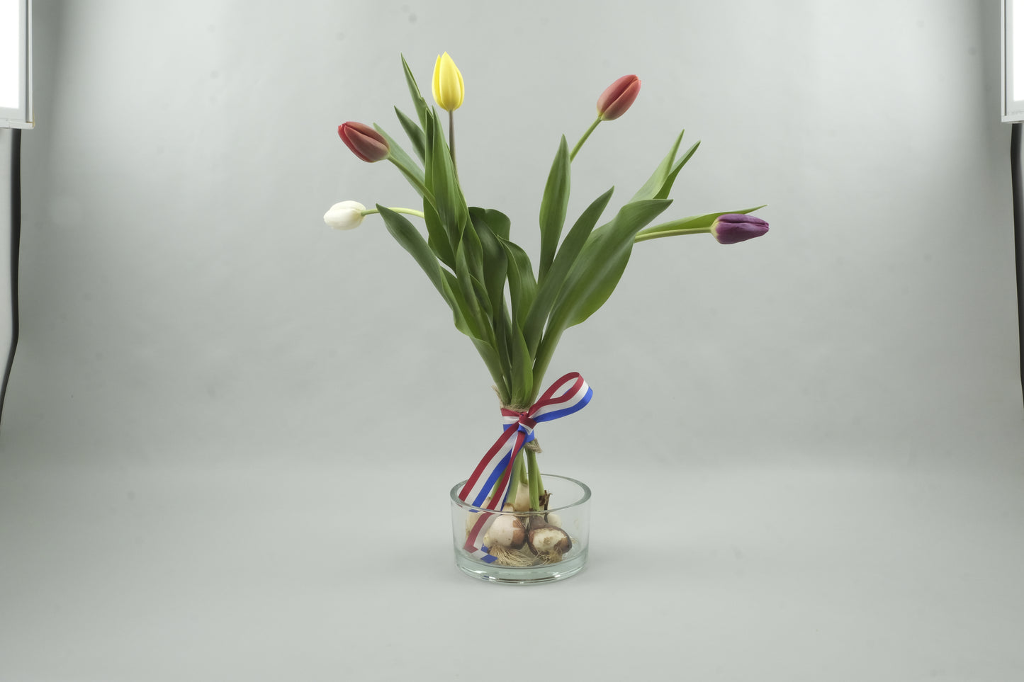 Mix yellow, white, purple and orange tulips - 5 stems